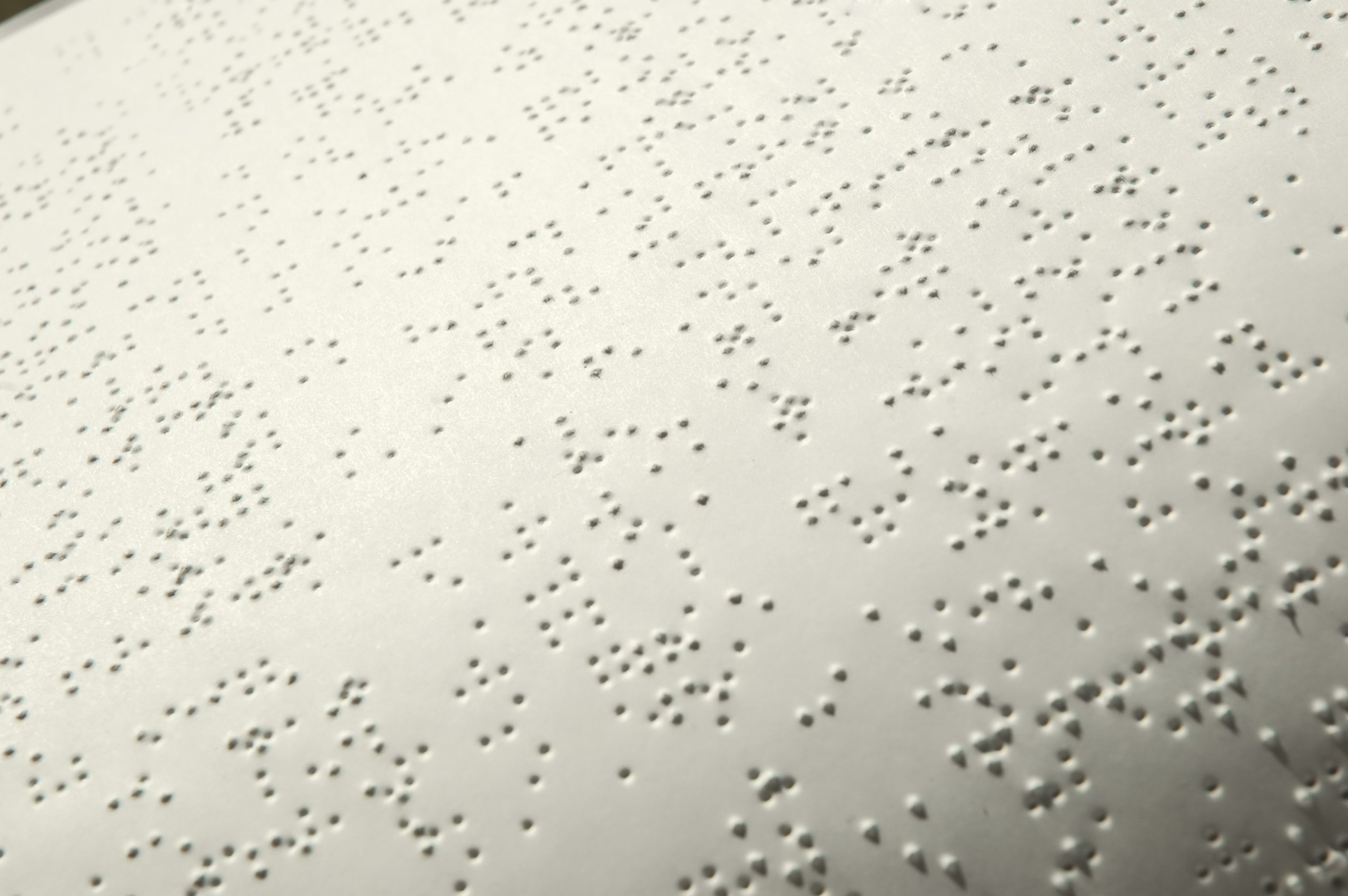 113160-braille-bible